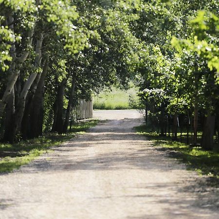 Antal-Tavi Fogado Es Horgaszparadicsom Szentes Exteriér fotografie