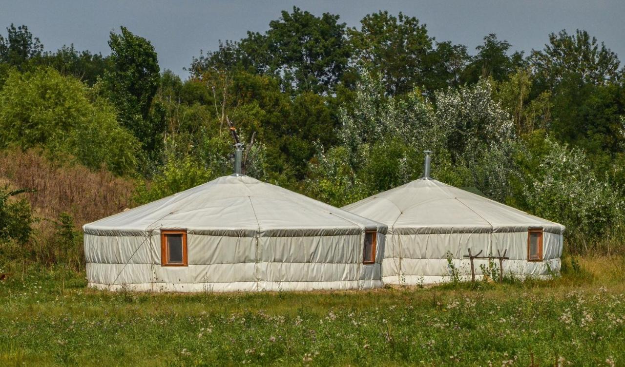Antal-Tavi Fogado Es Horgaszparadicsom Szentes Exteriér fotografie