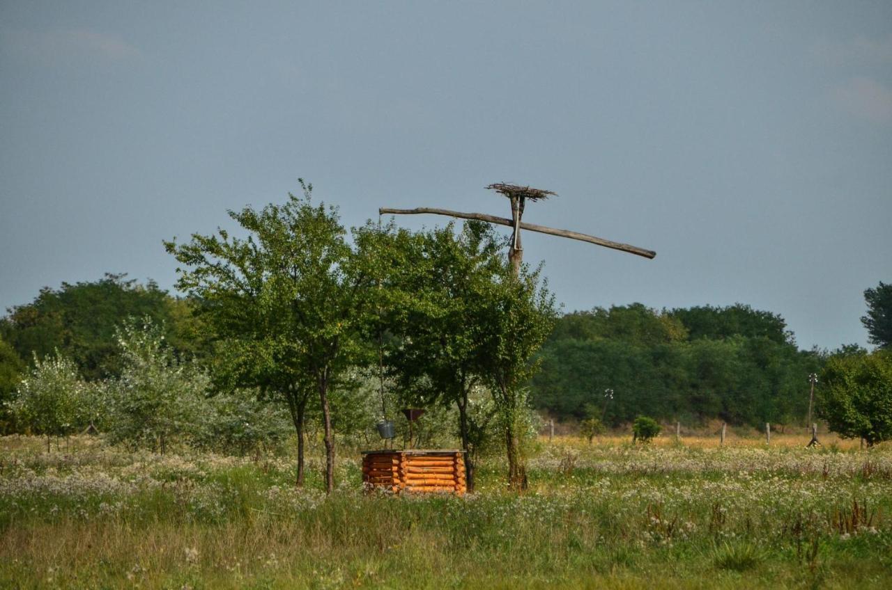 Antal-Tavi Fogado Es Horgaszparadicsom Szentes Exteriér fotografie